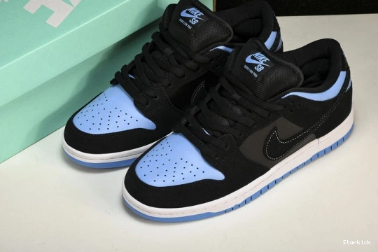 SB Low Dunk  Sub Nike 304292-048 Zero 0710
